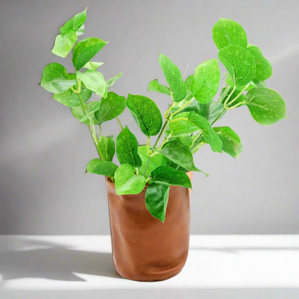 Leather Plant holder