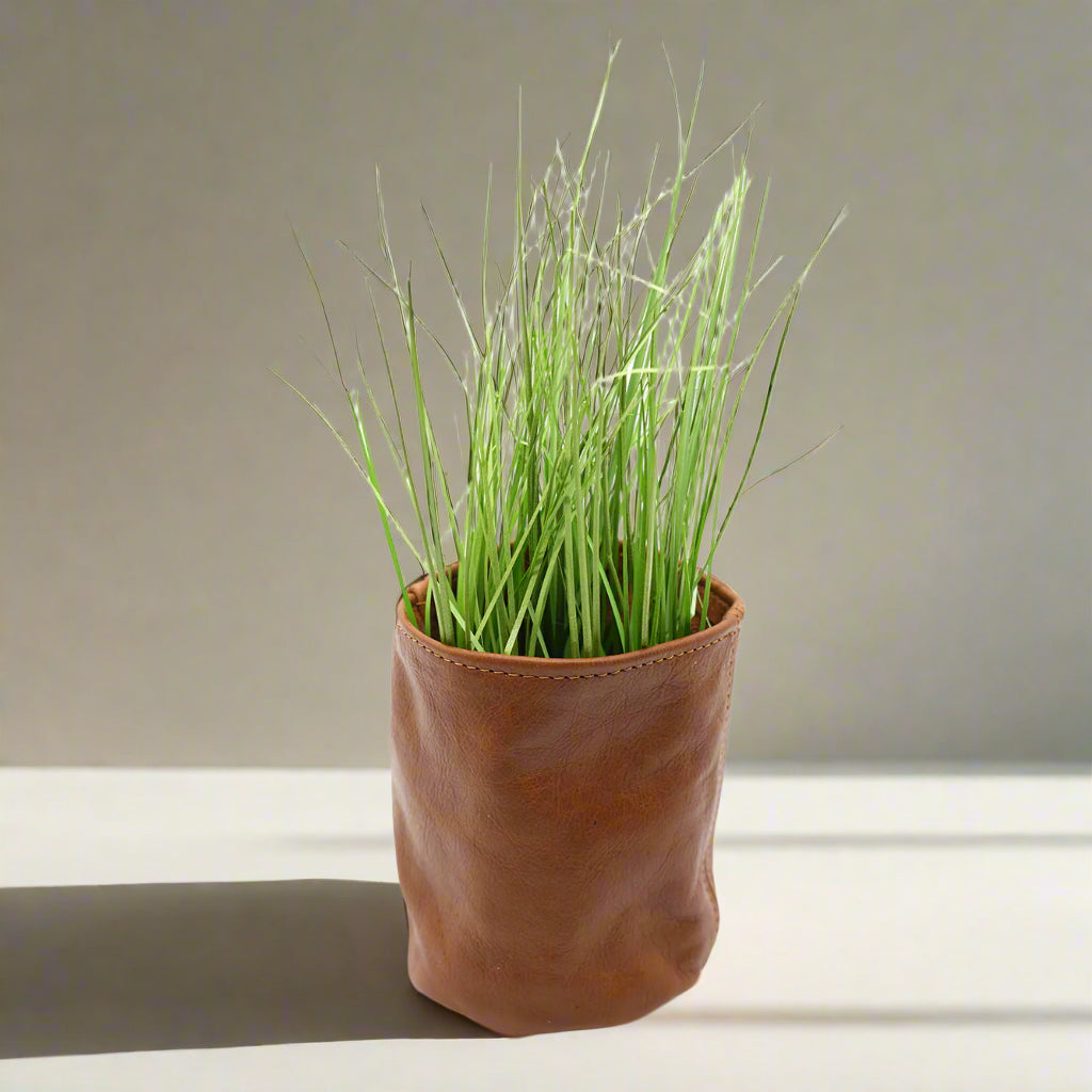 Leather Plant holder