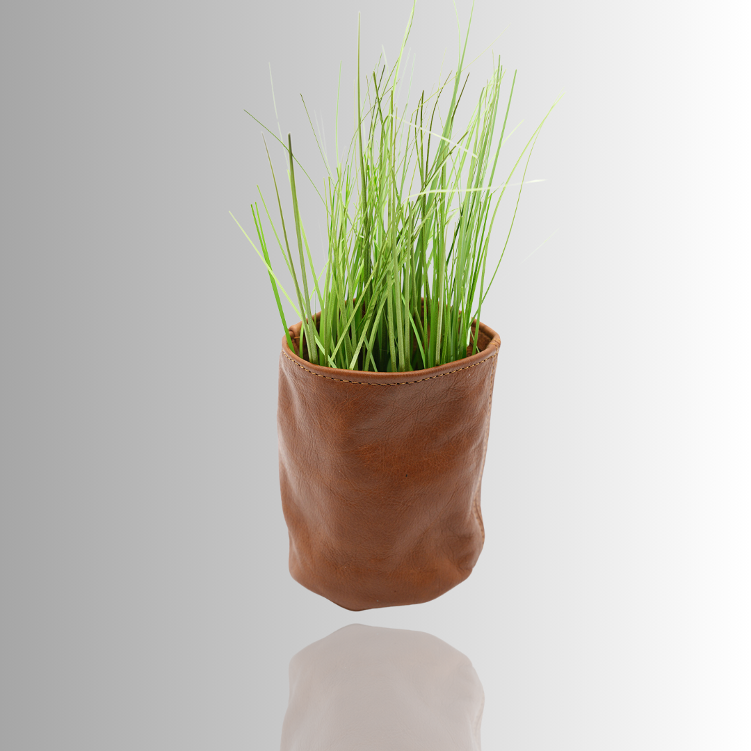 Leather Plant holder